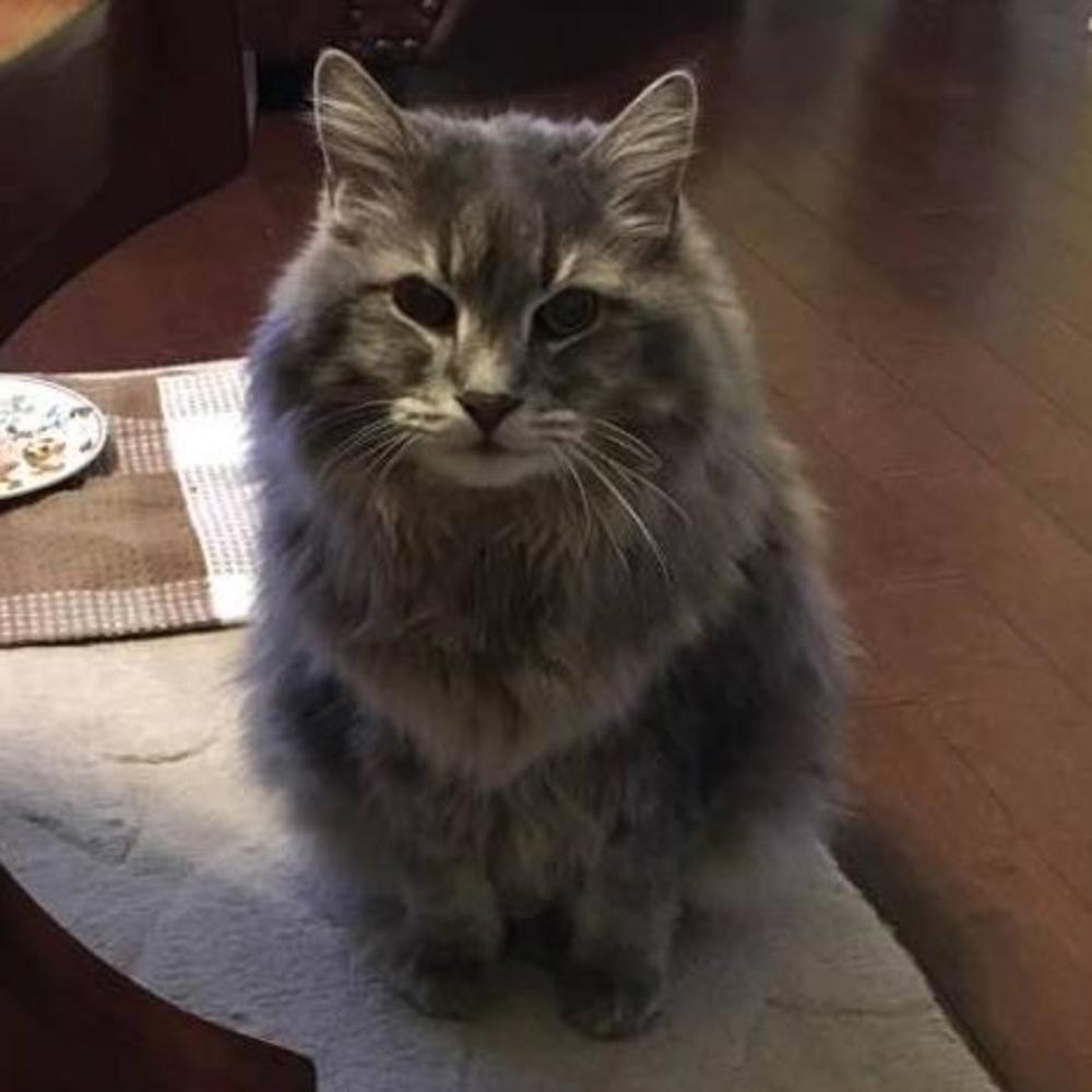 Meet your Posher, Barb